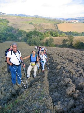 ancora nei solchi dei campi
appena arati, nei pressi di
Montecarulli
(29957 bytes)